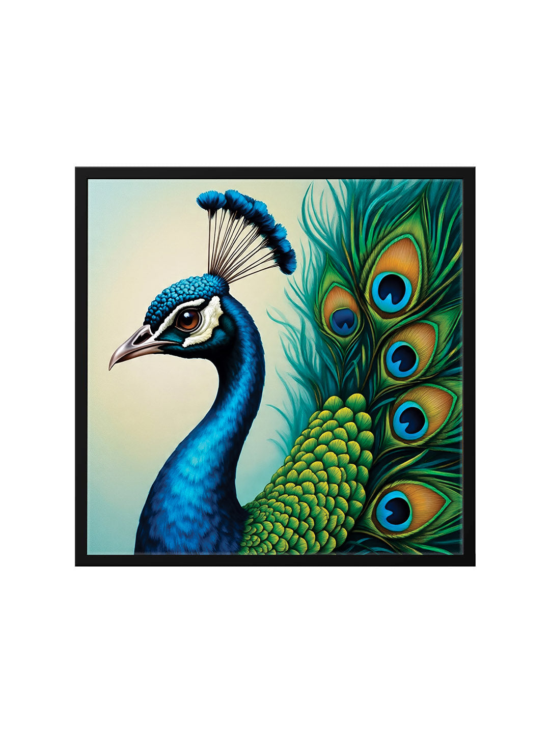 Majestic Beauty – Peacock Canvas Wall Art Black Frame Painting